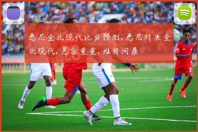 悉尼全北现代比分预测,悉尼对决全北现代,悬念重重,谁将问鼎