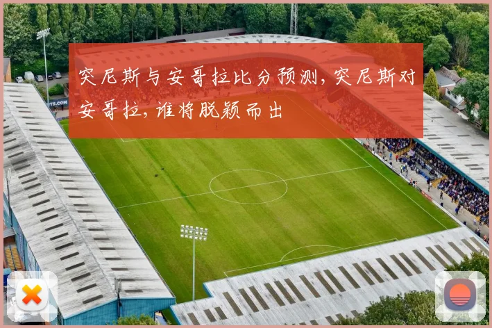 突尼斯与安哥拉比分预测,突尼斯对安哥拉,谁将脱颖而出